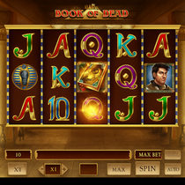 Wildsino - Book of Dead Slot Game