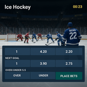 Wildsino - Hockey Betting Live Odds